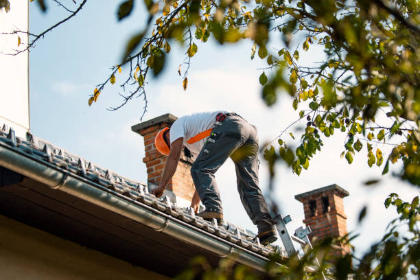 Best Roof Ventilation Installation  in Shaker Heights, OH